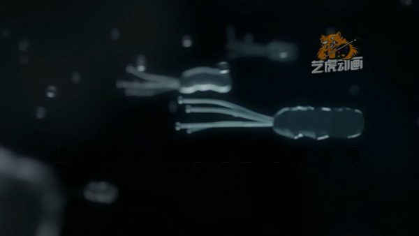 醫(yī)學(xué)三維動(dòng)畫(huà)制作